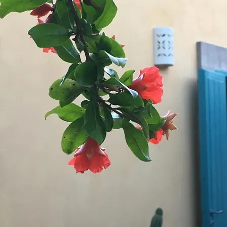 Masseria Lu Iundulu * Lecce